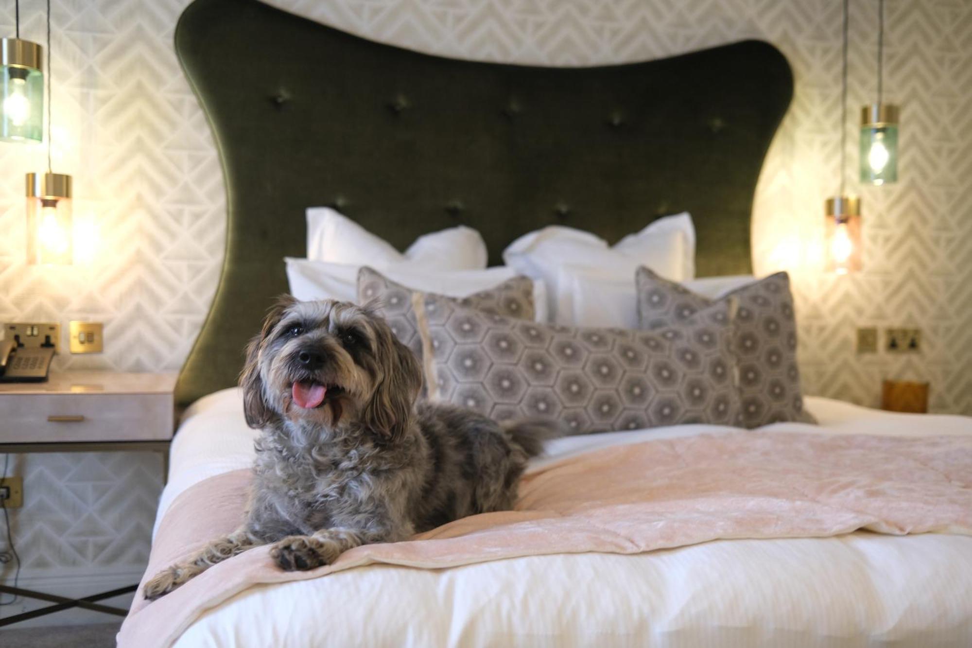 Gonville Hotel Cambridge  Luaran gambar